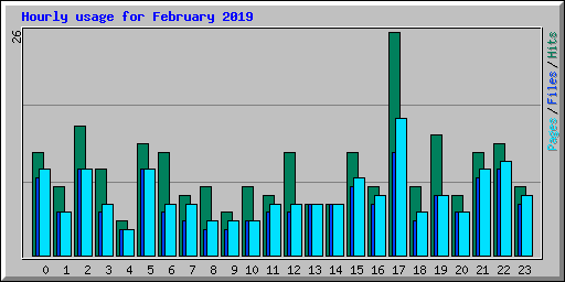 Hourly usage for February 2019