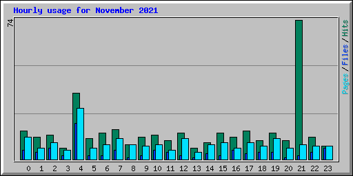 Hourly usage for November 2021