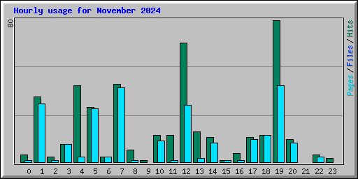 Hourly usage for November 2024