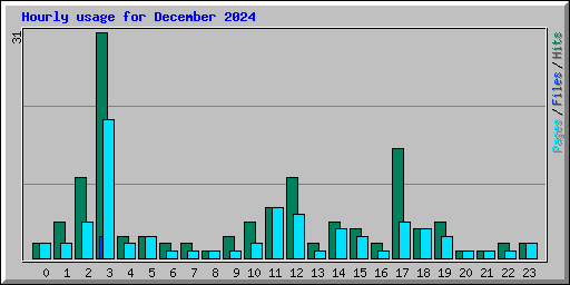 Hourly usage for December 2024