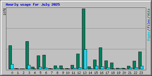 Hourly usage for July 2025