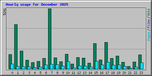 Hourly usage for December 2025