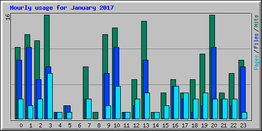 Hourly usage for January 2017