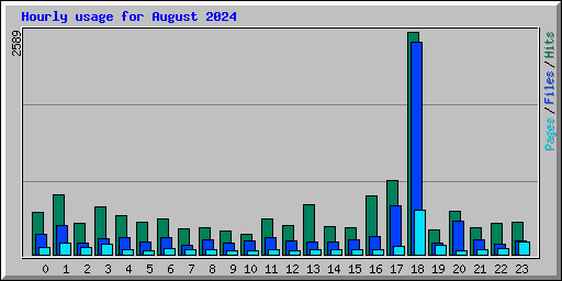 Hourly usage for August 2024